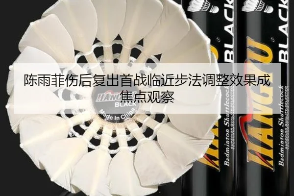 陈雨菲伤后复出首战临近步法调整效果成焦点观察